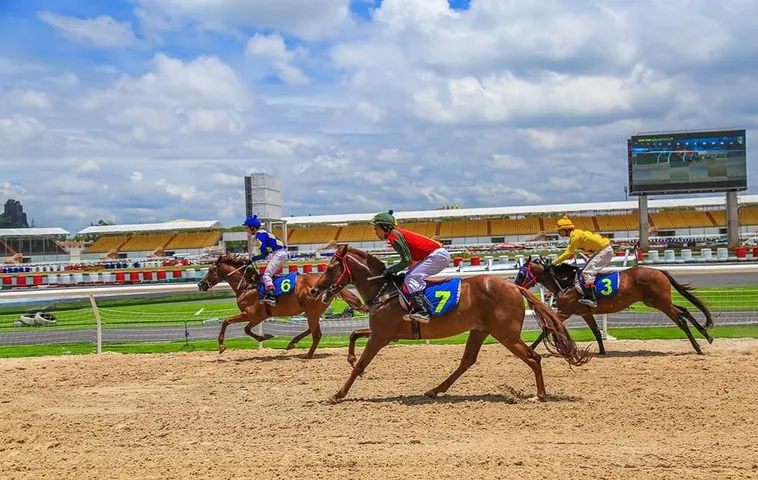 Tìm Hiểu Cá Cược Đua Ngựa AE888 Hướng Dẫn Cách Đặt Kèo Và Phân Tích Hiệu Quả